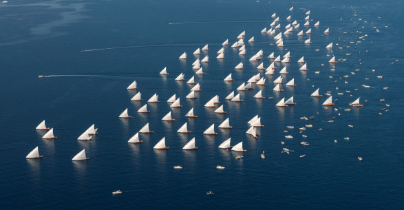 The organizing committee announces the date of the historic race: the 8th Dalma Race kicks off on Sunday, May 25.