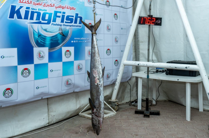 300 boats and boats participate in the Abu Dhabi Grand Kingfishing Championship with the start of the Abu Dhabi Marine Festival on Thursday.